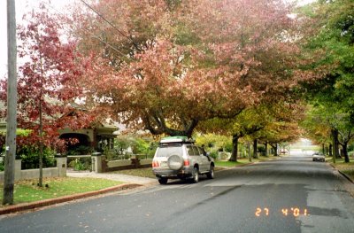 Autumn colours - Ballarat