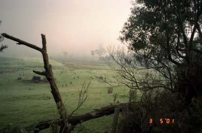 Misty valleys